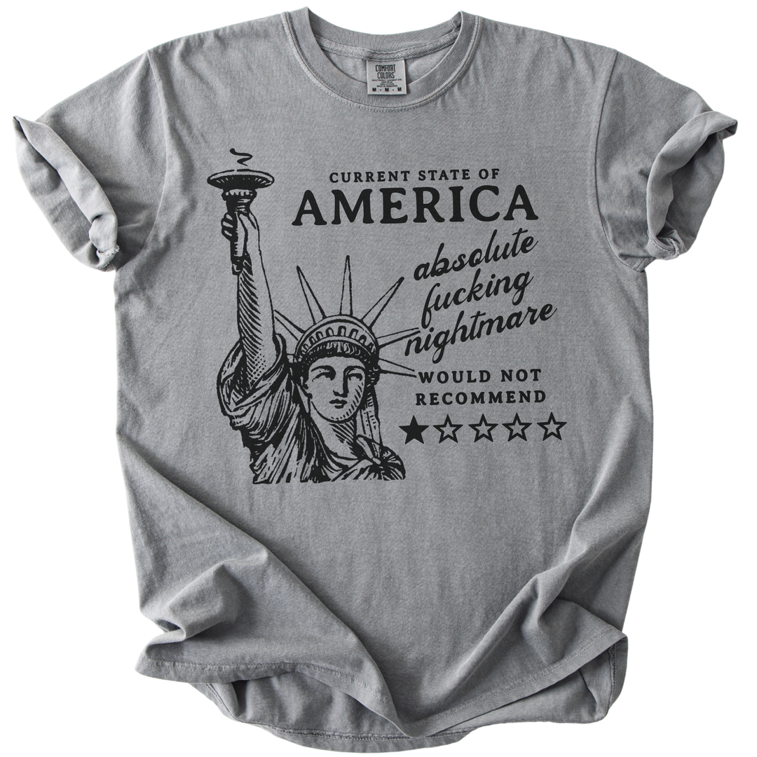 America: Would Not Recommend Tee