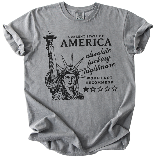 America: Would Not Recommend Tee