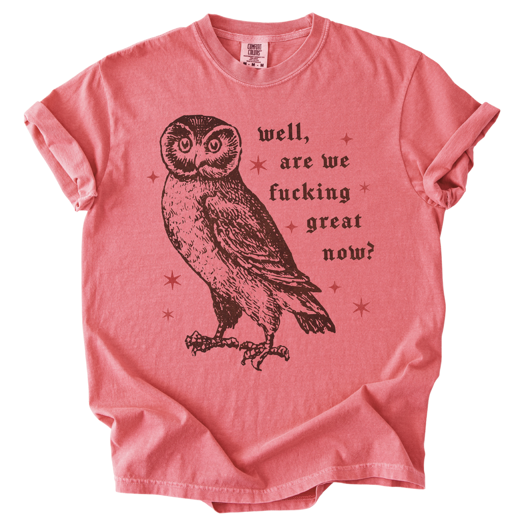 Well, Are We Fucking Great Now? Tee