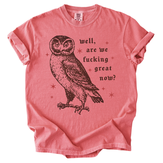 Well, Are We Fucking Great Now? Tee