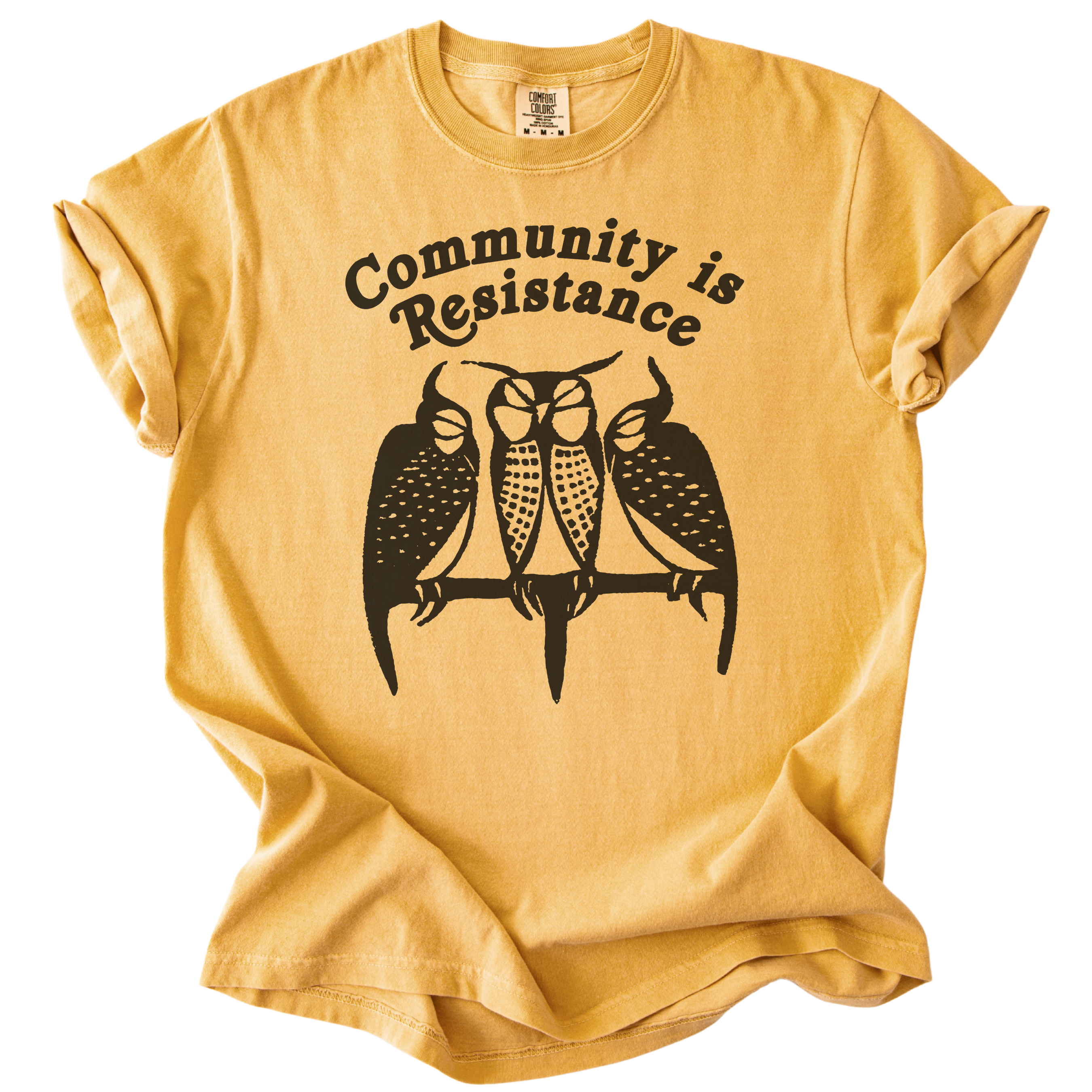 3 Owl Community is Resistance Tee