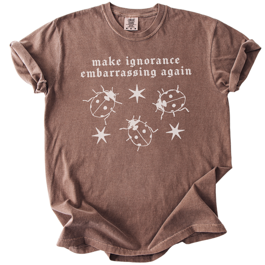 Ladybug Make Ignorance Embarrassing Again Tee