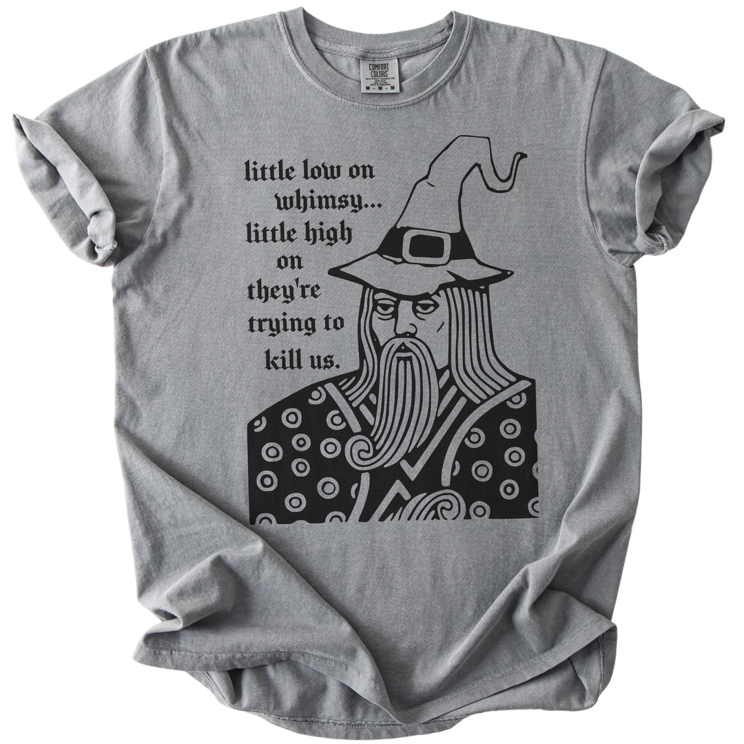 Little Low on Whimsy Wizard Tee