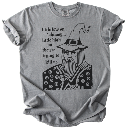Little Low on Whimsy Wizard Tee
