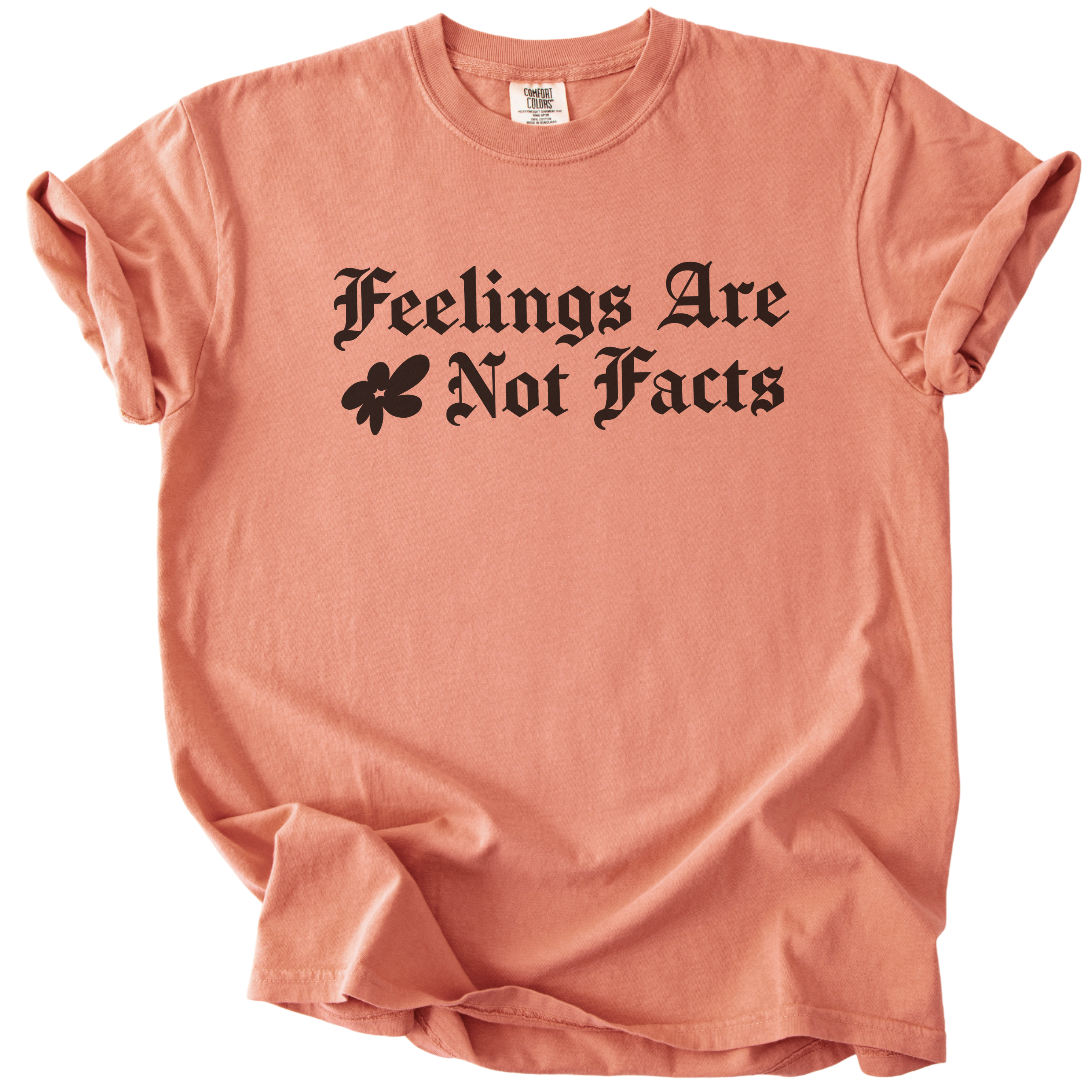 Feelings Are Not Facts Tee