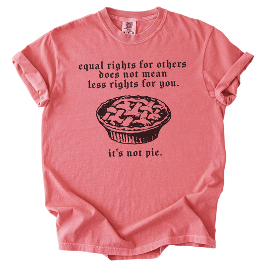 Equal Rights for Other Pie RBG Quote Tee