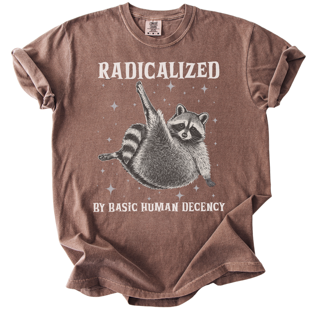 Raccoon Radicalized by Basic Human Decency Tee