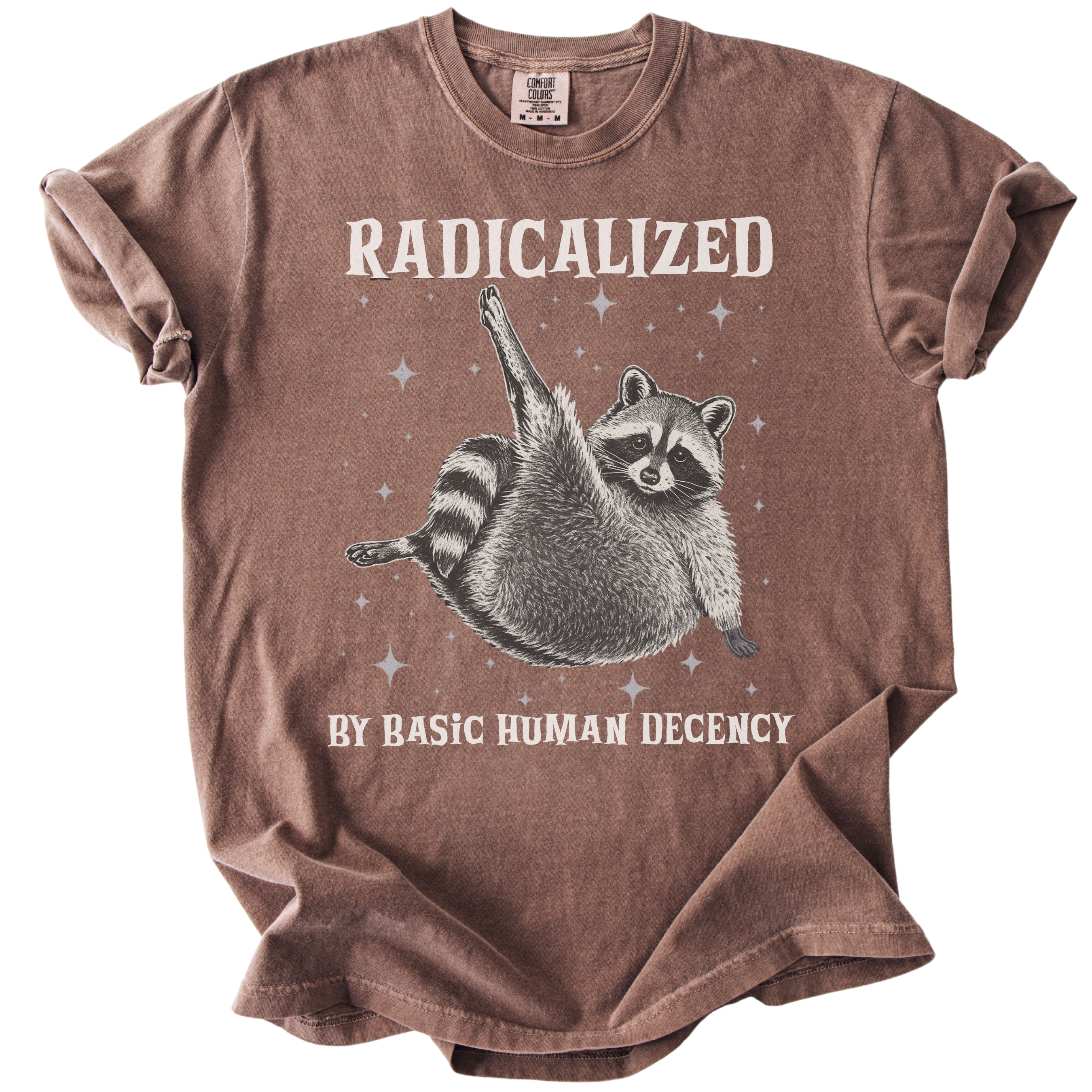 Raccoon Radicalized by Basic Human Decency Tee