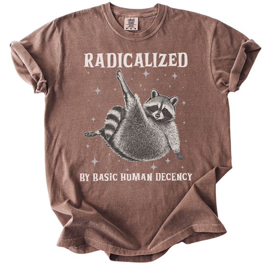 Raccoon Radicalized by Basic Human Decency Tee