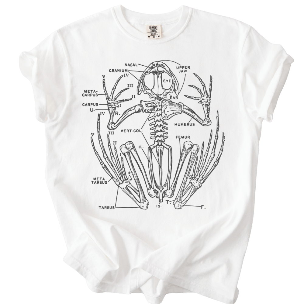Anatomical Frog Skeleton Tee