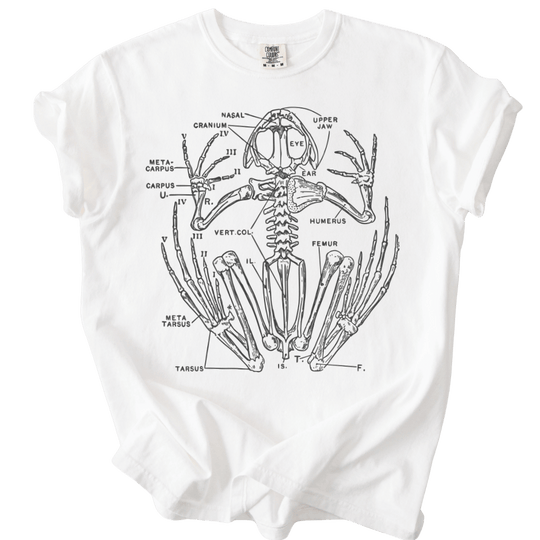 Anatomical Frog Skeleton Tee