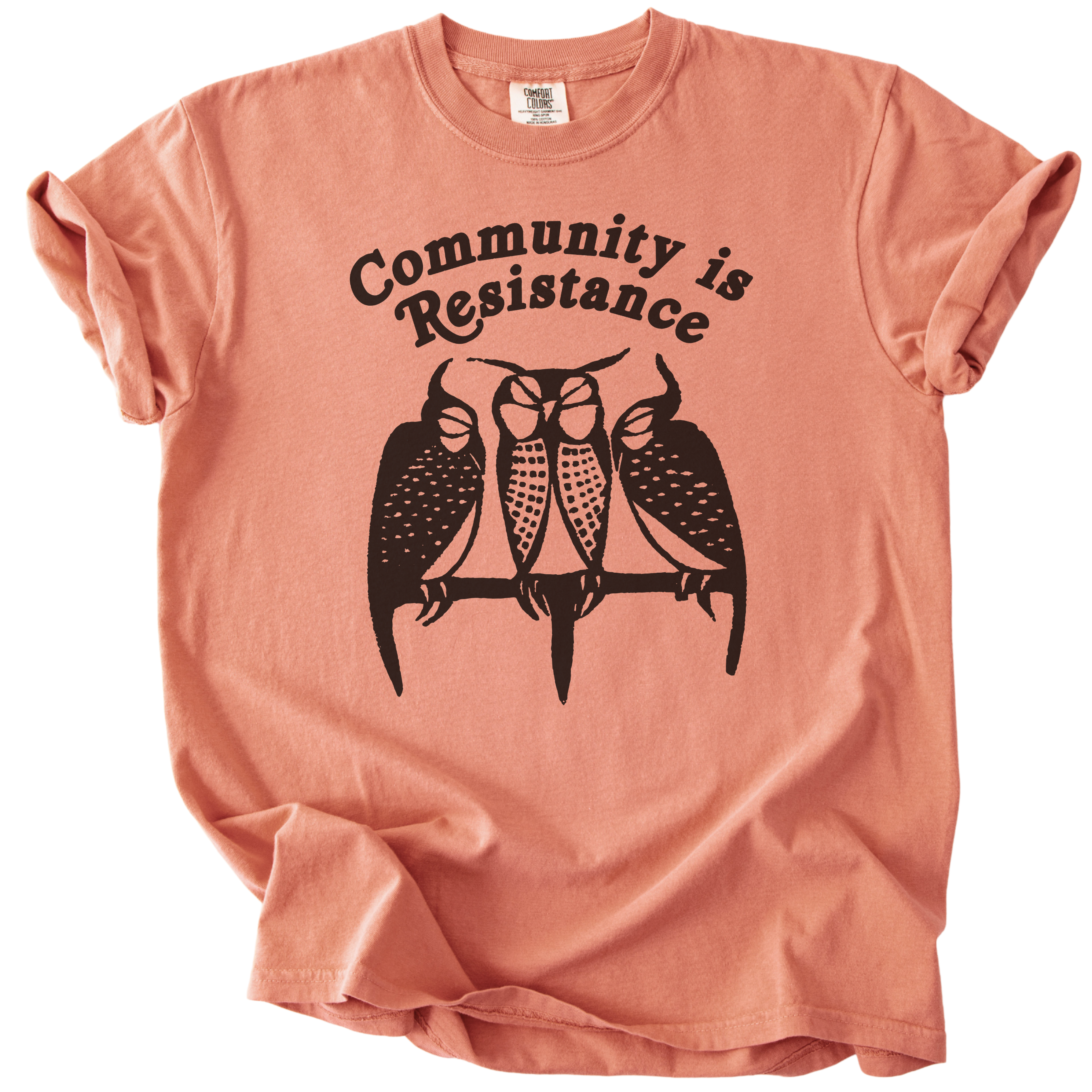 3 Owl Community is Resistance Tee