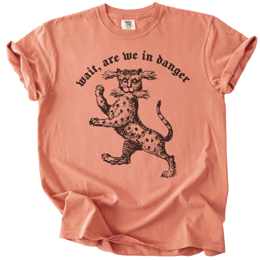 Wait, Are We in Danger Tee