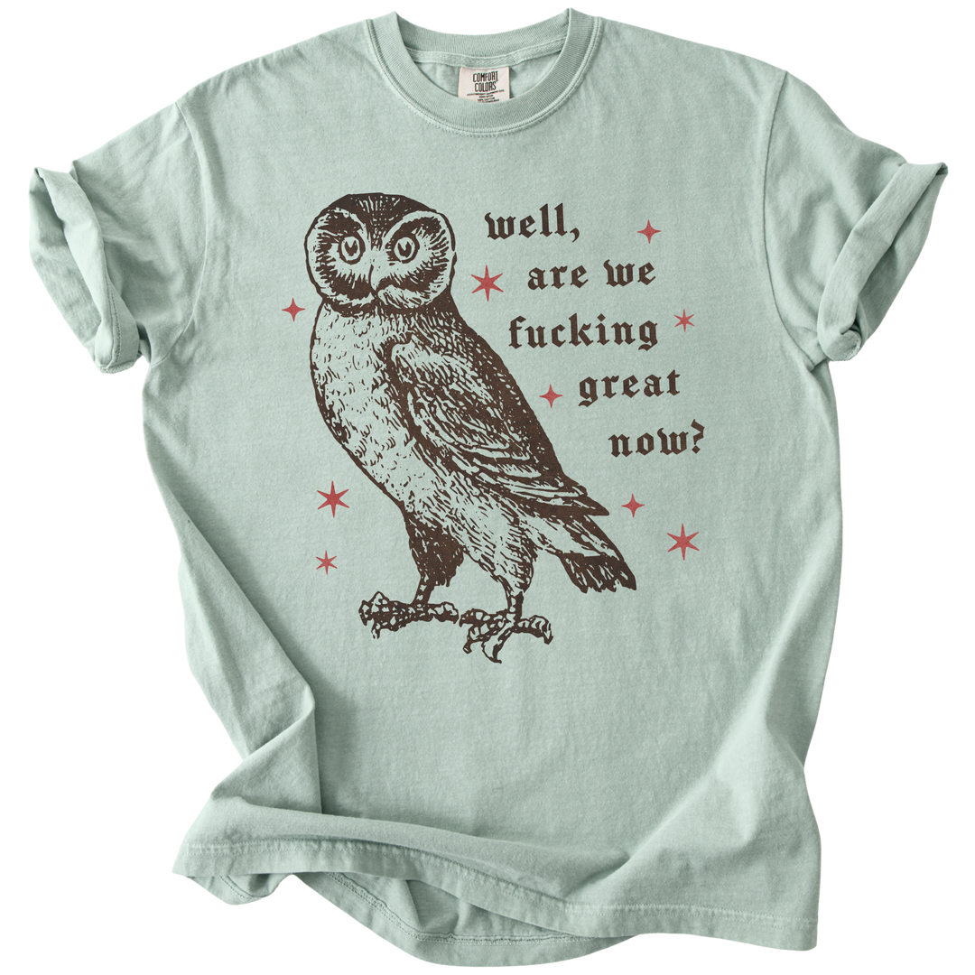 Well, Are We Fucking Great Now? Tee