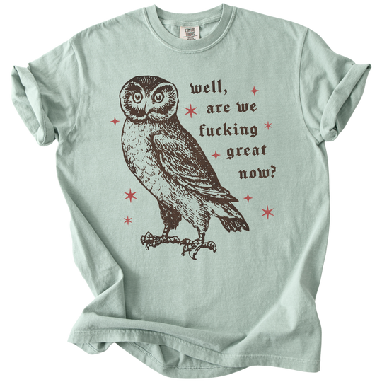 Well, Are We Fucking Great Now? Tee