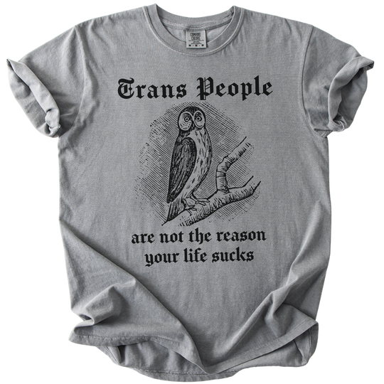 Trans People Are Not The Reason Owl Tee