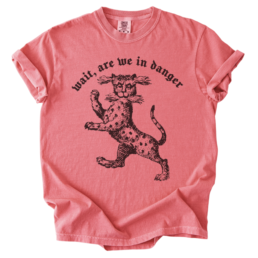 Wait, Are We in Danger Tee