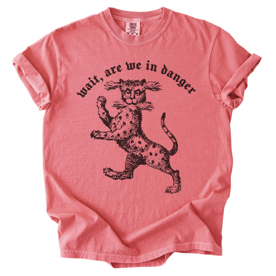Wait, Are We in Danger Tee