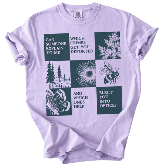 Which Crimes Get You Deported Vs Elected Tee