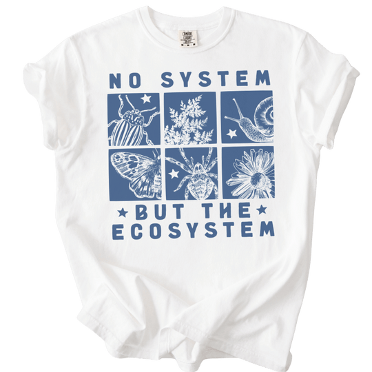 No System But The Ecosystem Boxes Tee