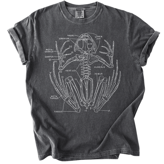 Anatomical Frog Skeleton Tee