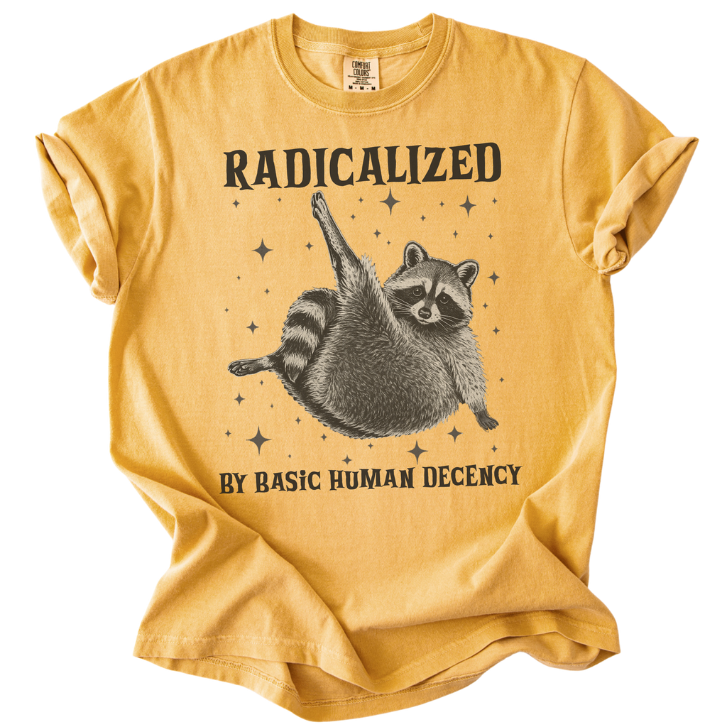Raccoon Radicalized by Basic Human Decency Tee