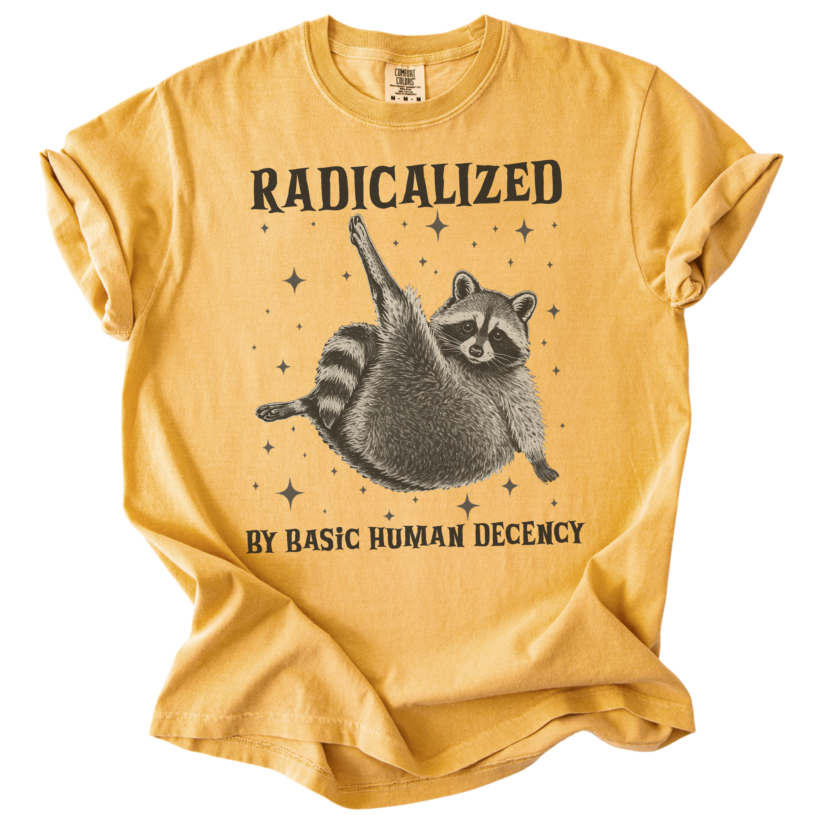 Raccoon Radicalized by Basic Human Decency Tee