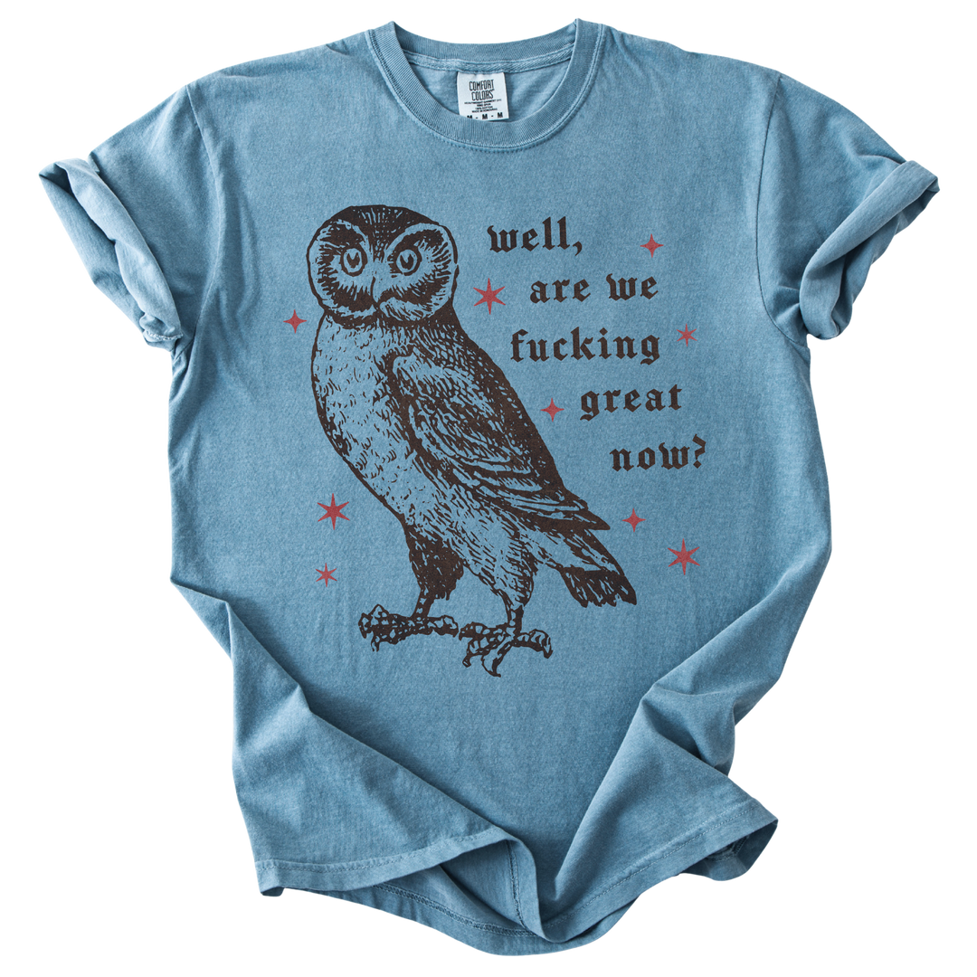 Well, Are We Fucking Great Now? Tee