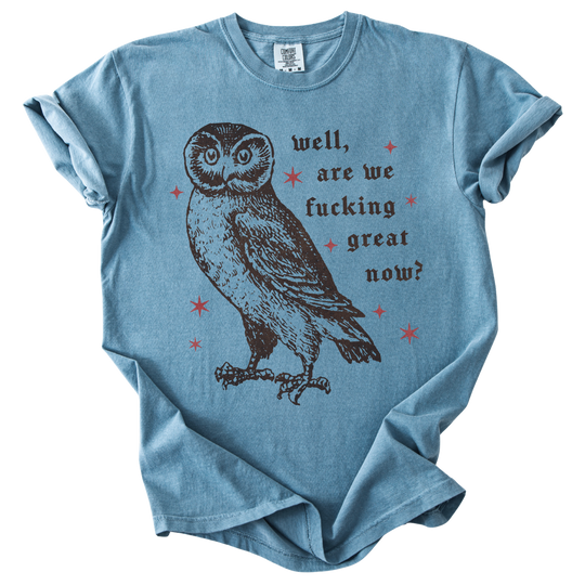 Well, Are We Fucking Great Now? Tee