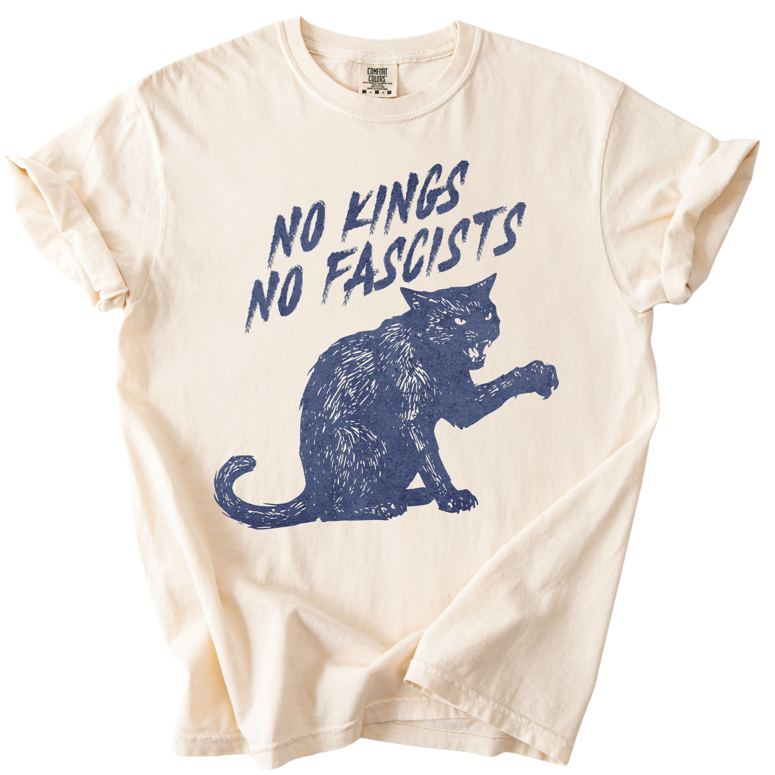 No Kings No Fascists Black Cat Tee