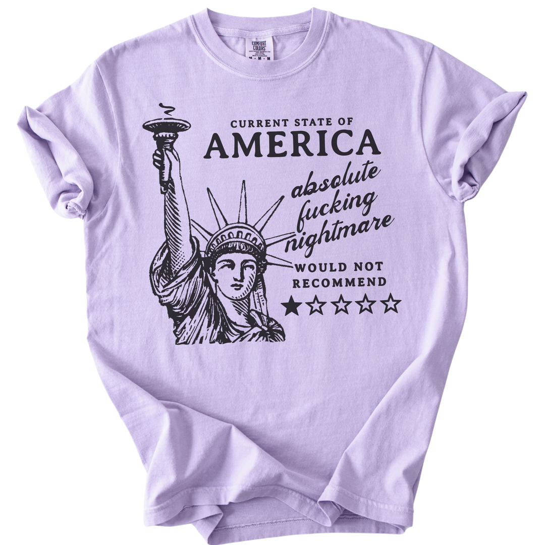 America: Would Not Recommend Tee