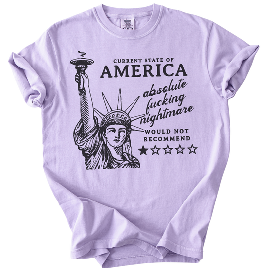 America: Would Not Recommend Tee