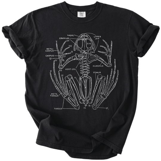 Anatomical Frog Skeleton Tee