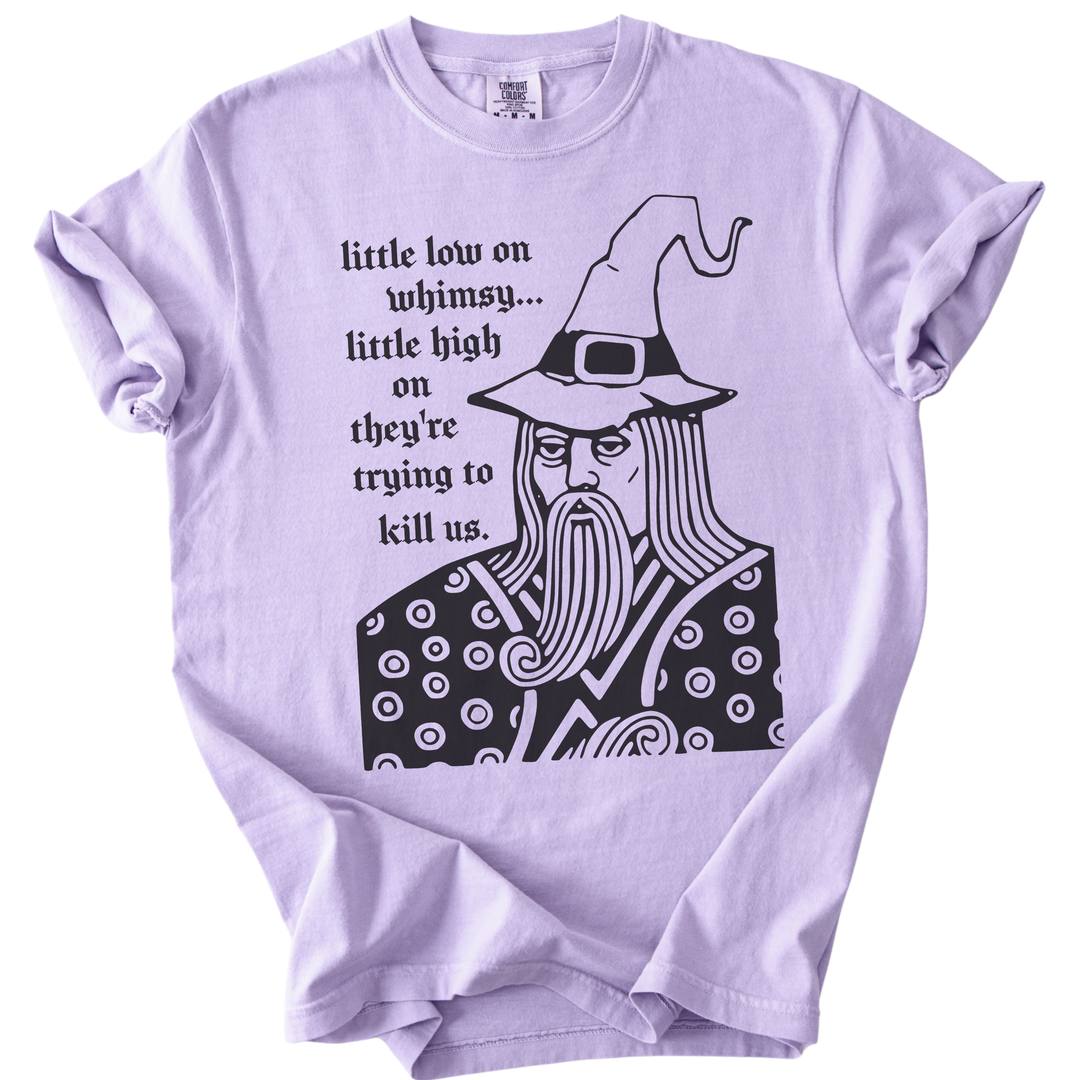 Little Low on Whimsy Wizard Tee