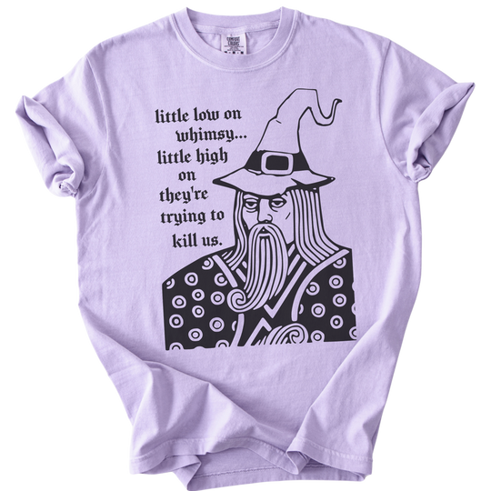 Little Low on Whimsy Wizard Tee