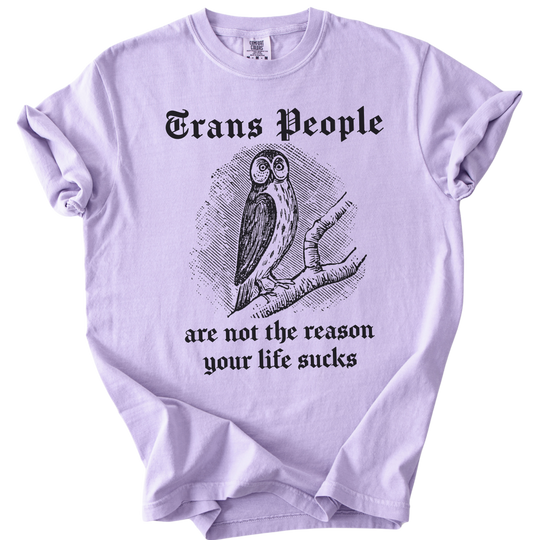 Trans People Are Not The Reason Owl Tee