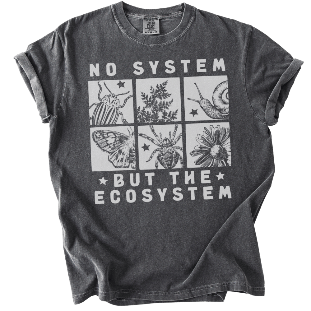 No System But The Ecosystem Boxes Tee