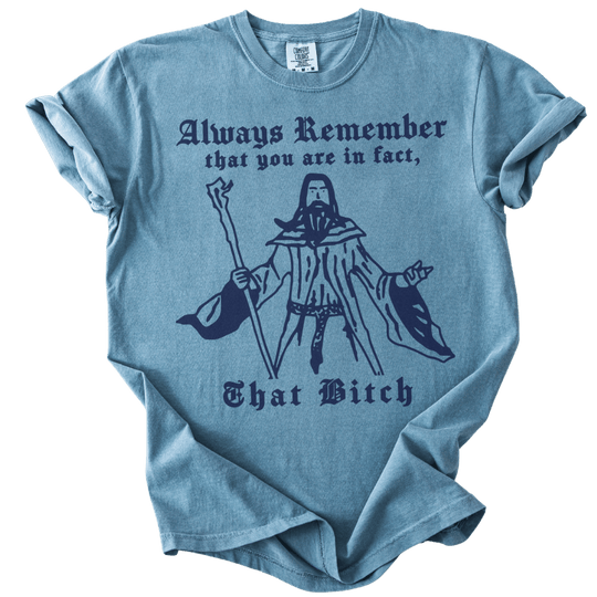 Always Remember You Are In Fact That Bitch Tee