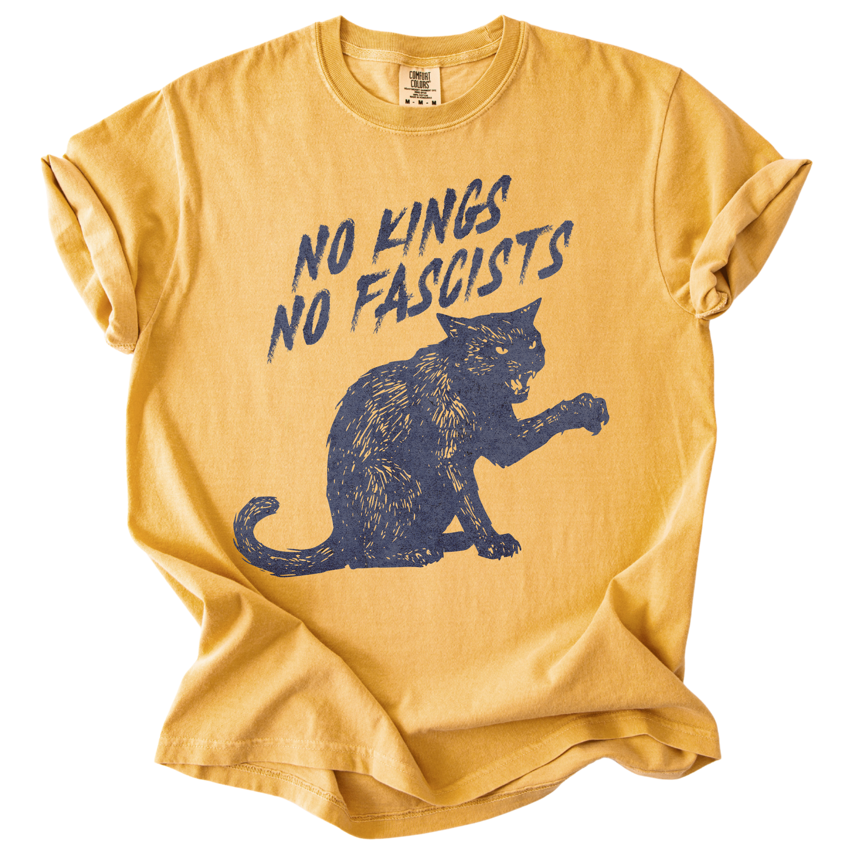 No Kings No Fascists Black Cat Tee