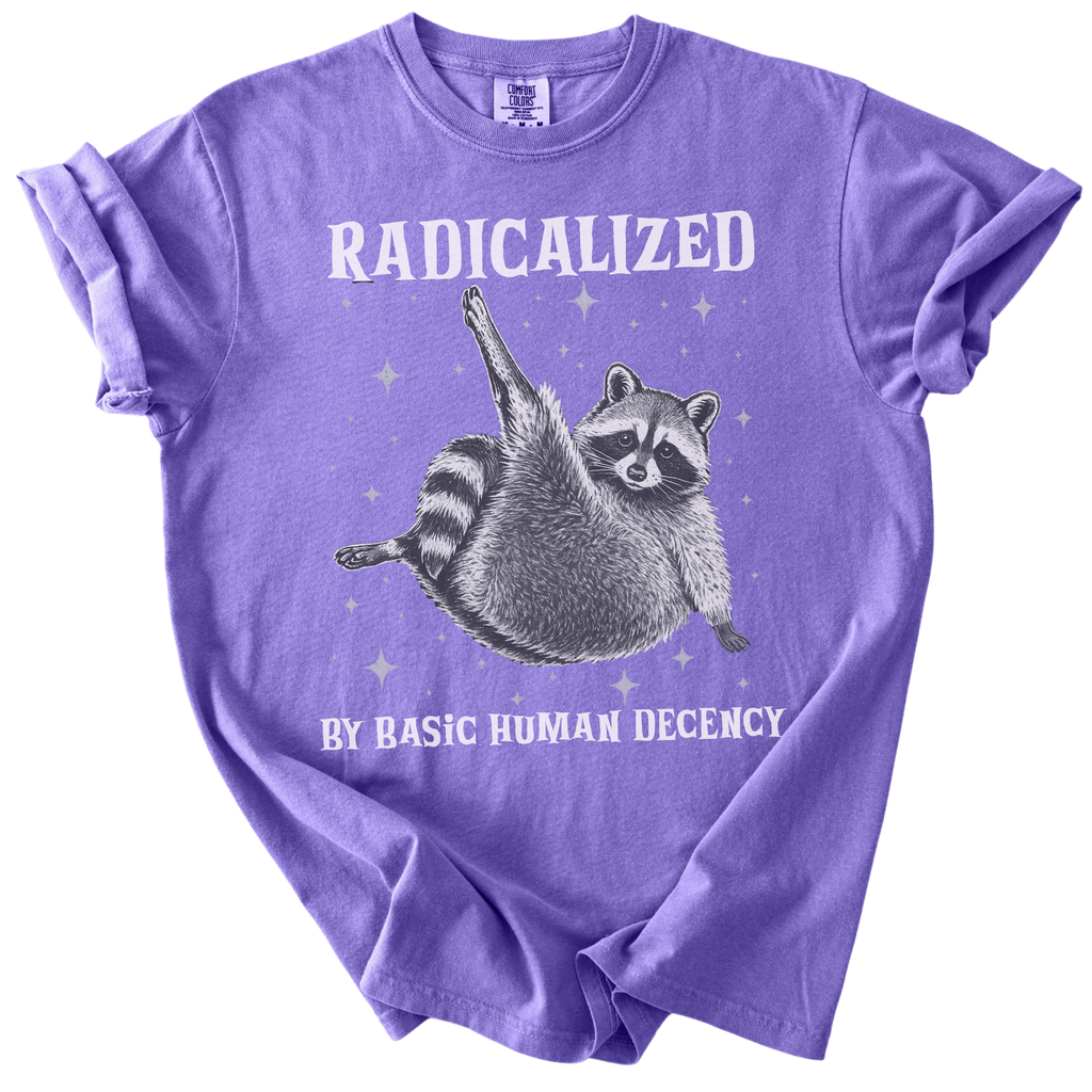 Raccoon Radicalized by Basic Human Decency Tee
