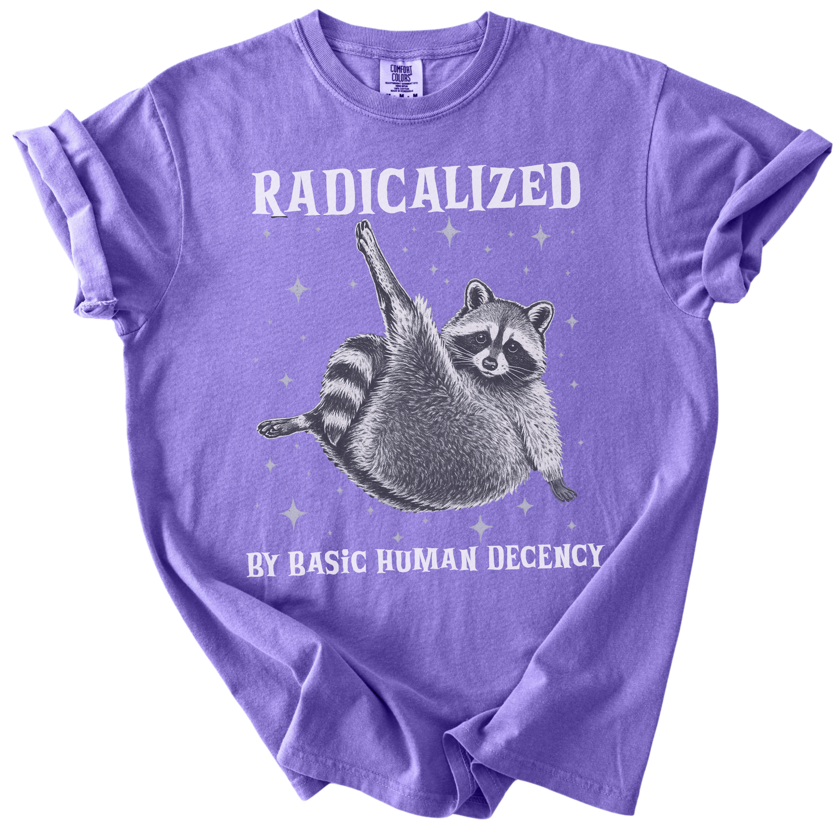 Raccoon Radicalized by Basic Human Decency Tee