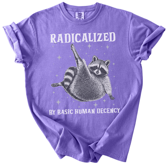 Raccoon Radicalized by Basic Human Decency Tee