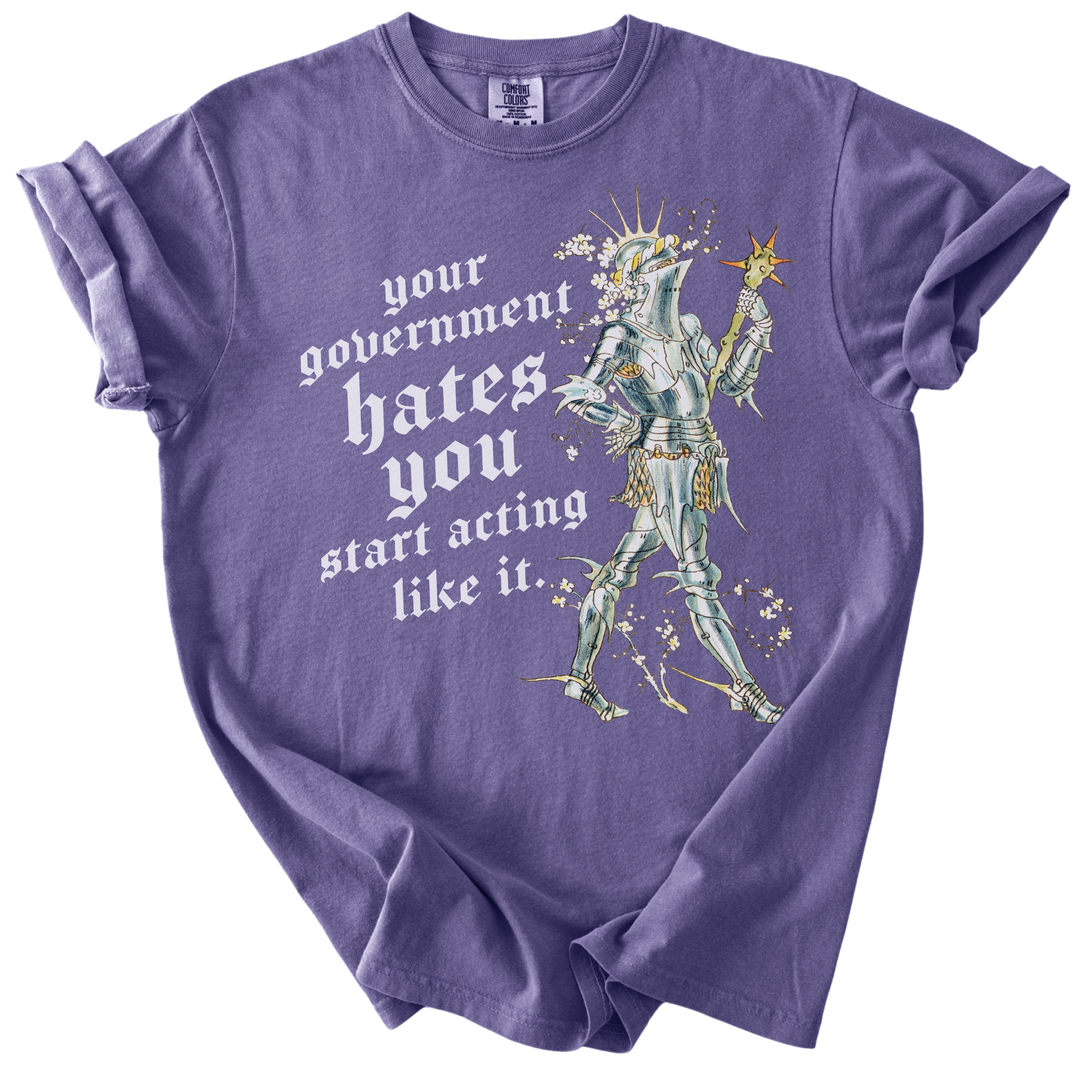 Your Government Hates You Knight Tee