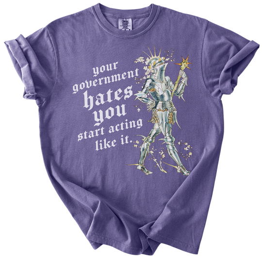 Your Government Hates You Knight Tee