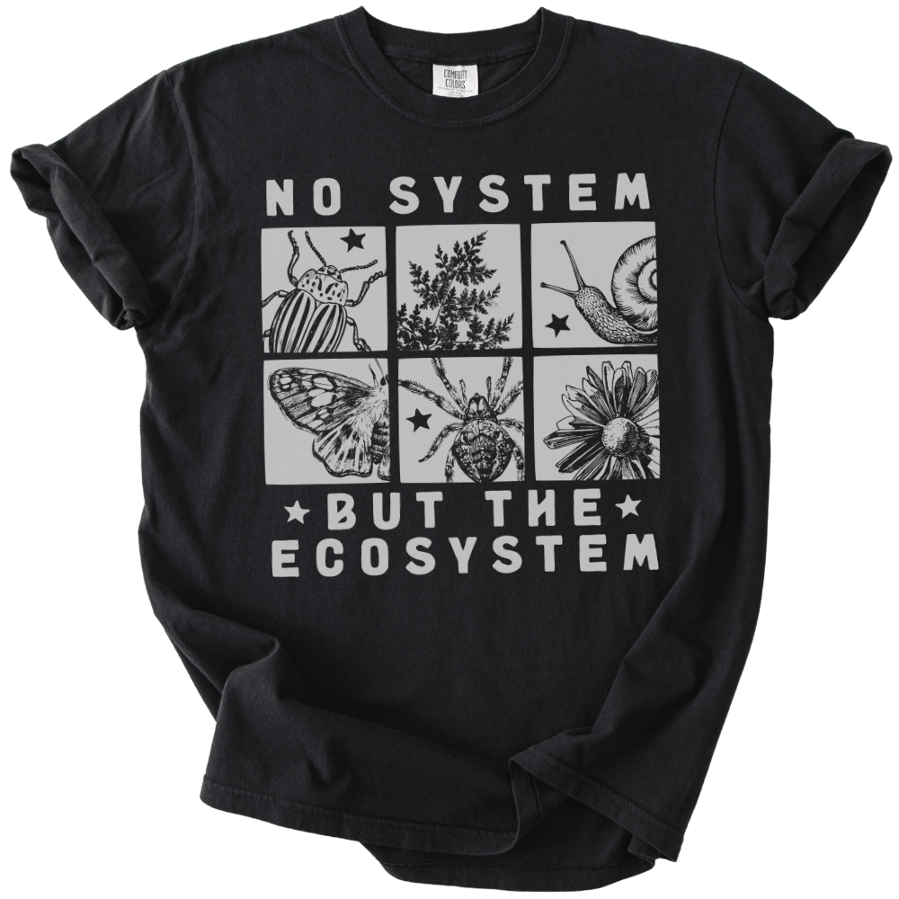 No System But The Ecosystem Boxes Tee