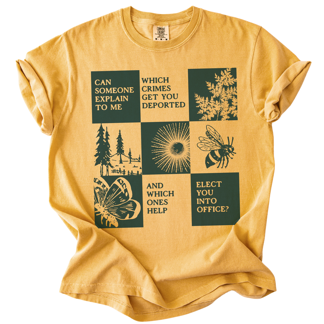 Which Crimes Get You Deported Vs Elected Tee
