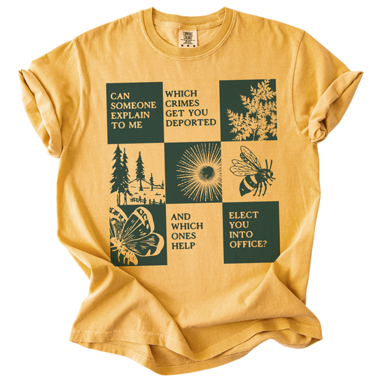 Which Crimes Get You Deported Vs Elected Tee