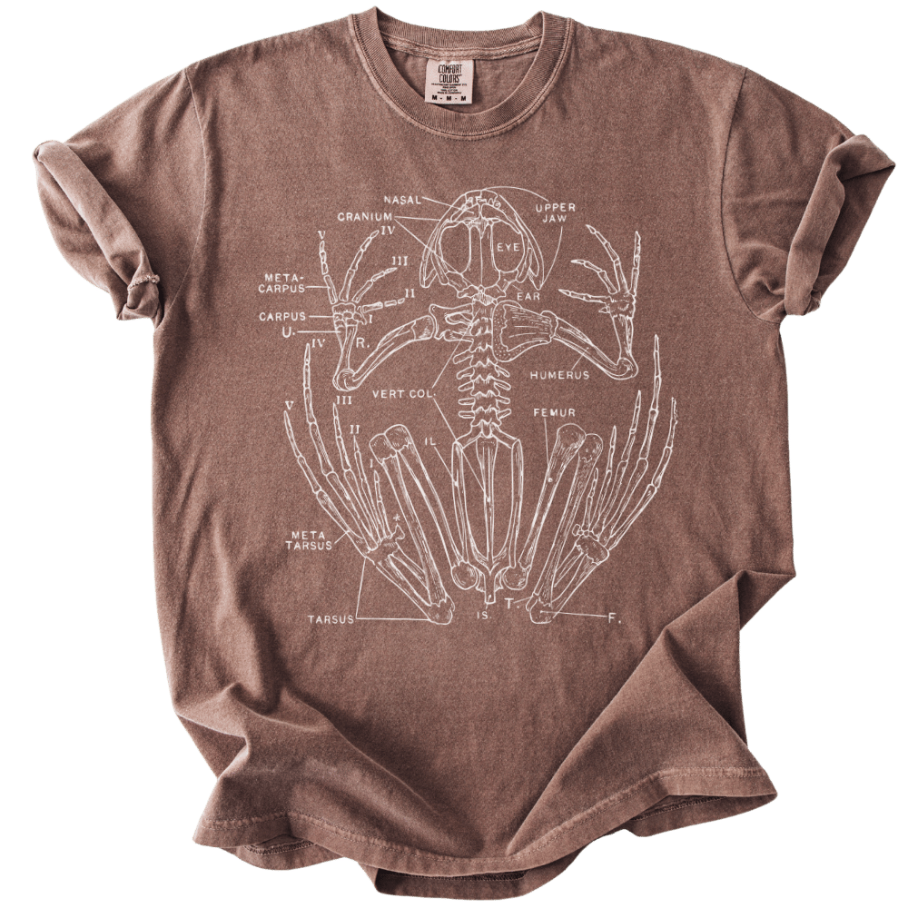 Anatomical Frog Skeleton Tee