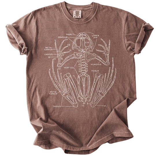 Anatomical Frog Skeleton Tee
