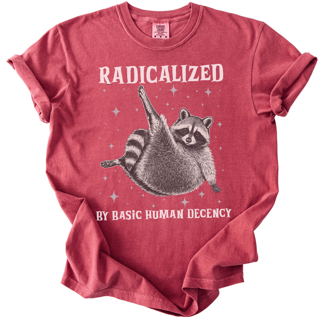 Raccoon Radicalized by Basic Human Decency Tee